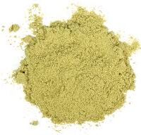 fennel seed extract